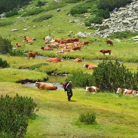 Belvedere Club к505 Sunset View Διαμέρισμα Μπάνσκο